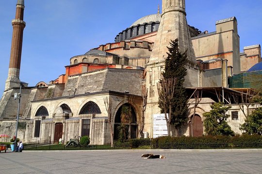旅游团图片8