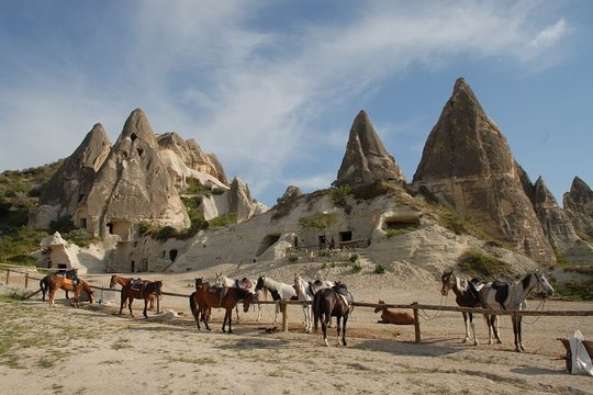 旅游团图片3