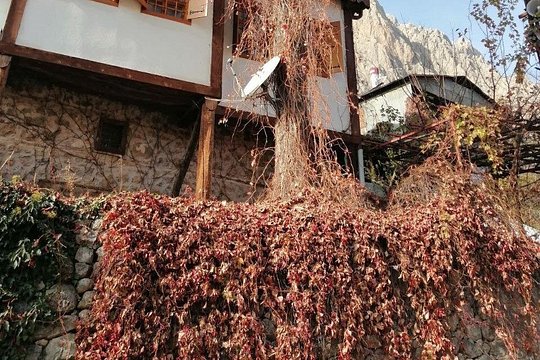 旅游团图片3