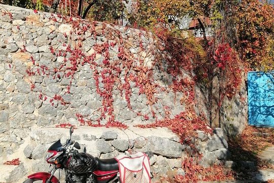 旅游团图片4