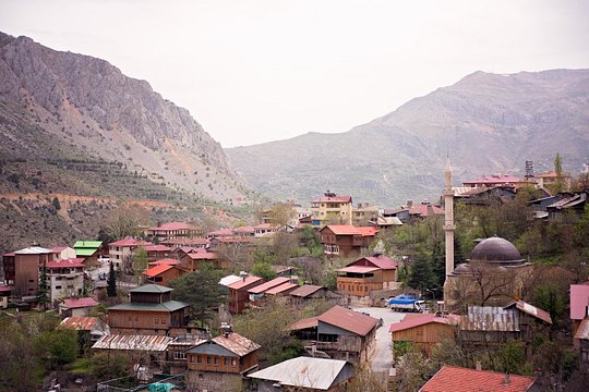旅游团图片6