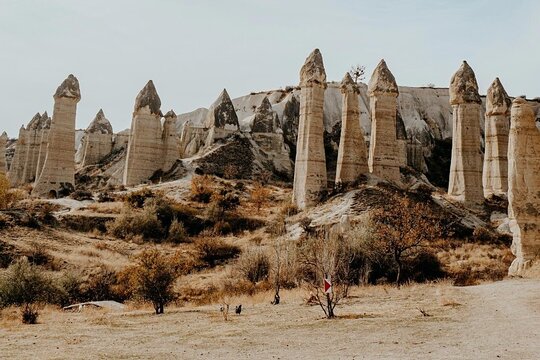Imagen del tour 5