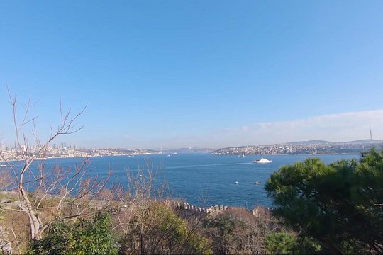 旅游团图片6