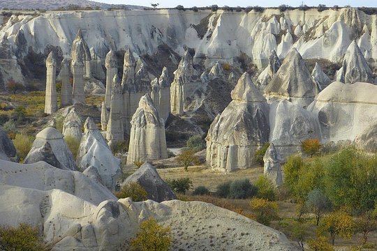 旅游团图片7